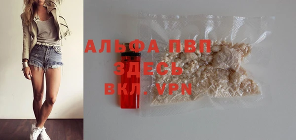 молекула духа Алексин