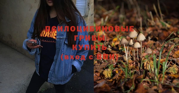 хмурый Абдулино