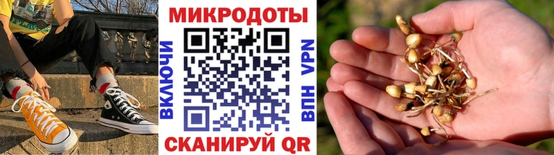 Галлюциногенные грибы мицелий  хочу наркоту  Пошехонье 